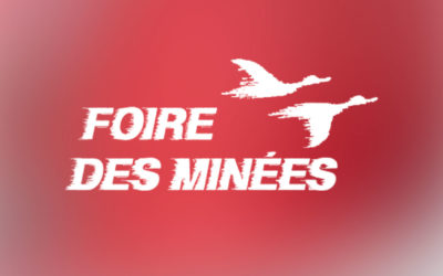 Du nouveau pour la rentrée